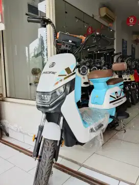 E-BIKE PACIFIC ARMOUR