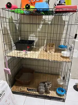 Kandang kucing/anjing 350.000