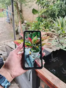 Redmi 9 4+1/64Gb