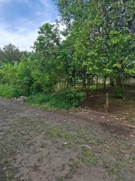 Tanah Strategis Murah sangat Cocok untuk Rumah
