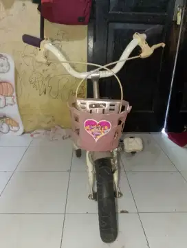 Sepeda anak² Umu 1-6 Tahun