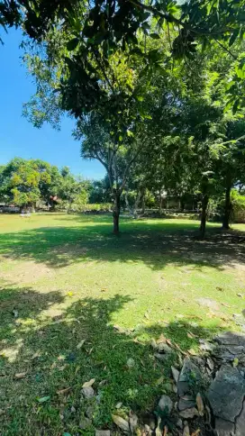 For Sale Premium Land Berlokasi Batur Sari Sanur