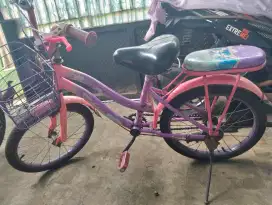 Sepeda Ukuran 16 inci