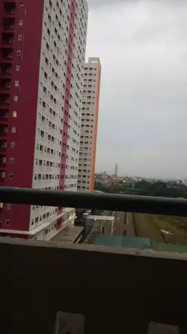 The Green Pramuka