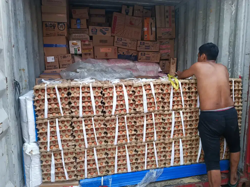 Jasa pengiriman barang dari Surabaya ke Wasior via KM Dempo