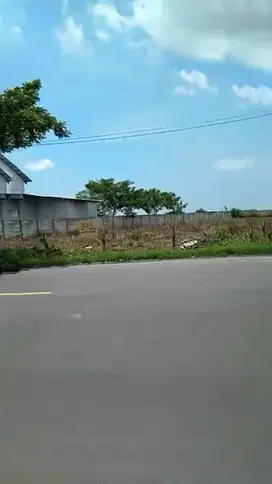 Tanah Kawasan Industri Strategis Di Widang Tuban