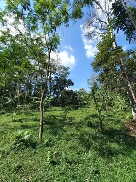 Dijual tanah strategis sudah SHM (NEGO)
