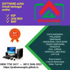 Software Developer