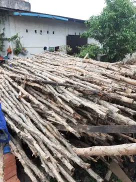 Jual Gelam Bekas Sekali Pakai