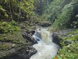 Dijual kebun durian isi air terjun dan sungai besar bebetauan di bali