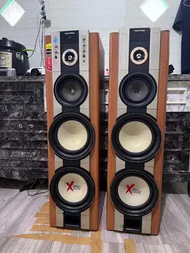 Speaker aktiv polytron