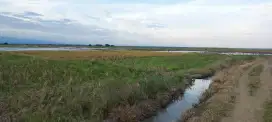 Dijual sebidang sawah 69 are