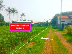 DI JUAL TANAH KEBUN MURAH SETRATEGIS