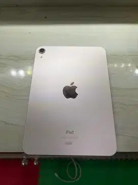 Ipad Mini 6, 256Gb
