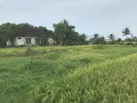Dijual Tanah Pantai Nyanyi 15 Are