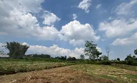 Kavling Tanah di Sumber Sekar, Kesempatan Emas dekat Kampus UIN 3