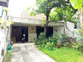 Kosongan Adem Hadap Selatan Rumah Raya Mojopahit