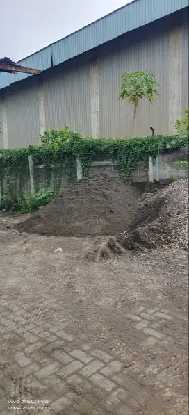 Pasir Biasa Pasir Campur Siap Kirim Cepat Pagi Ini!