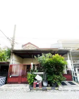 RUMAH SUTOREJO SELATAN DKT MULYOSARI, WISMA PERMAI, BABATAN PANTAI