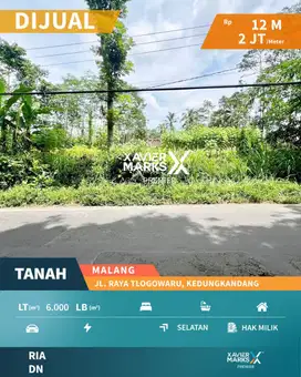Lahan Luas Strategis Di Jalan Tlogowaru Kedungkandang Malang(OLX659)