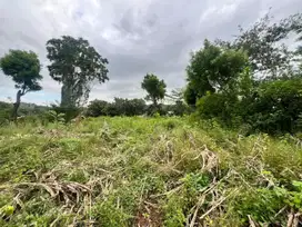 Tanah murah dekat pantai Bumbang Mandalika Lombok. Cocok untuk villa