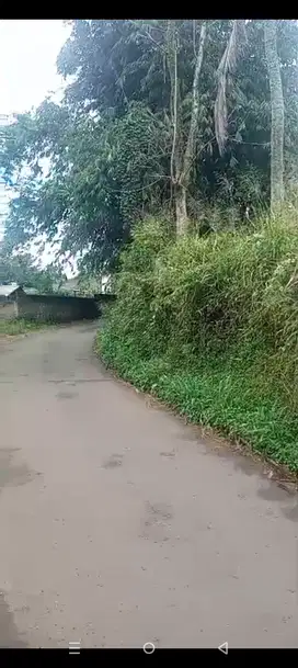 di jual lahan/tengah kebun di cugenang cianjur
