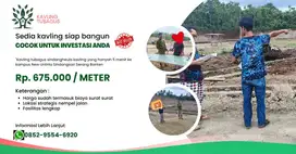 KAVLINGAN DEKAT KAMPUS UNTIRTA SERANG BANTEN