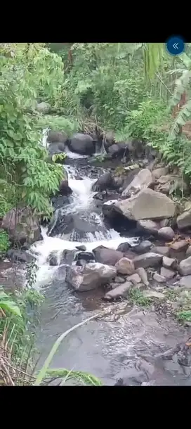 di jual lahan kebun subur ada aliran sungai di Cidahu sukabumi