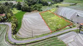 dijual tanah komersil dekat pantai abian kapas selemadeg