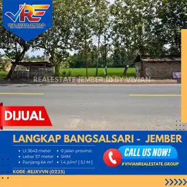 TANAH PINGGIR JALAN AREA PERGUDANGAN DEPAN TOYOTA BANGSALSARI