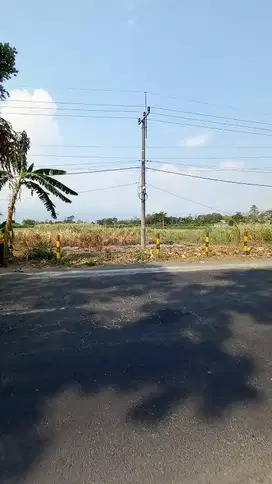JUAL TANAH POROS NGUJANG DUA TULUNGAGUNG