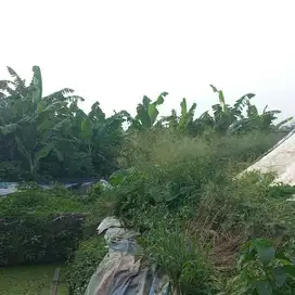 tanah cocok pabrik gudang dalam kawasan industri akses kontainer