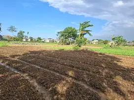 Dijual tanah di babelan bekasi
