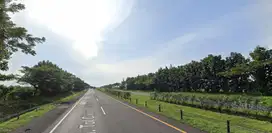Tanah pinggir jalan tol cipali cocok rest area atau kebun peternakan