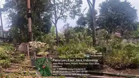Tanah raya ledug Tretes