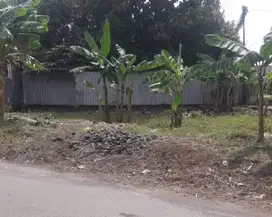 Tanah pingir jalan