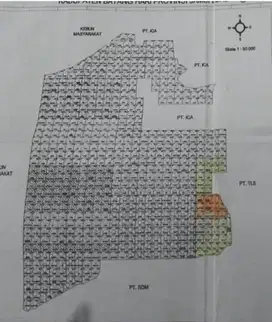 Lahan Perkebunan  3200 hektar di Batanghari