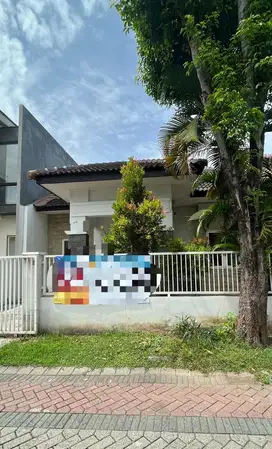 Disewakan Rumah 1 Lantai di Cluster Alam Hijau Dekat Pasar Citraland
