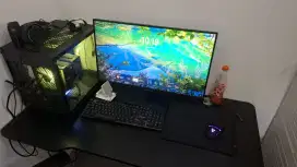 PC+Monitor Gaming