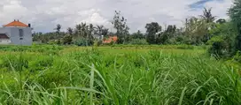 Tanah Murah Permata Pering Blahbatuh Gianyar Dekat Pantai Saba Ketewel