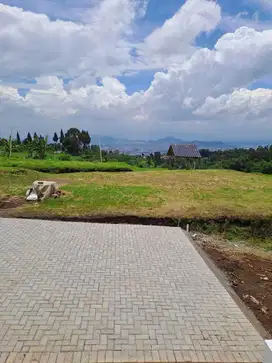 TANAH KAWASAN SEJUK , GATE JALAN UTAMA