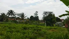 DIJUAL TANAH LUAS – CINANGKA, TENJOLAYA, BOGOR Cocok untuk Villa, Kebu