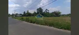 Jual Desa Pangkat, Jayanti, Tangerang - Banten.