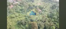 Jual Tanah Di Jl Maloko, Dangdang, Cisauk - Tangerang.