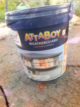 Cat ataboy weater guard