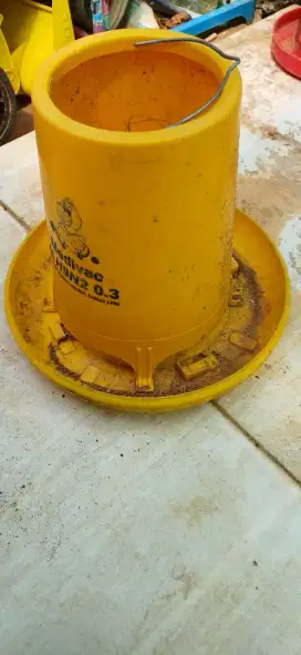 Tempat Wadah Makan Ayam