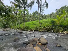 Dijual tanah los sungai dan view sawah terasering