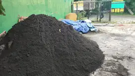 Pasir Lumajang Halus / Kasr – Siap Kirim Cepat Pagi Ini!