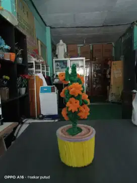 Hiasan tanaman labu mini