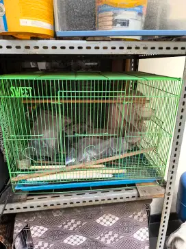 Kandang Burung/Kucing/anak anjing